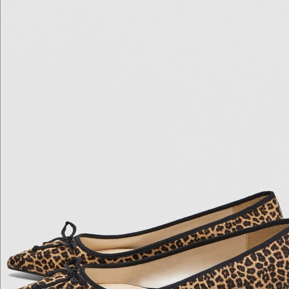 Zara flat - Picture 6 of 6